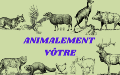 Animalement vôtre !
